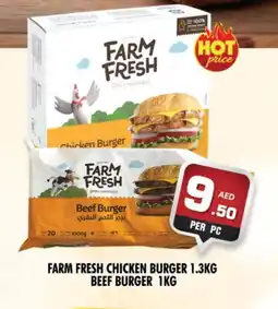 Night to Night Hypermarket FARM FRESH Chicken Burger offer