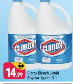Shaklan CLOROX Bleach offer