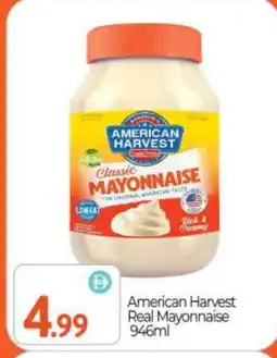 Bigmart AMERICAN HARVEST Mayonnaise offer