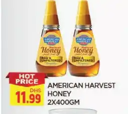 Al Madina AMERICAN HARVEST Honey offer