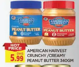 Al Madina AMERICAN HARVEST Peanut Butter offer