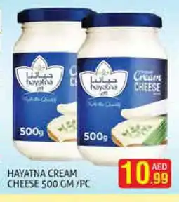 Palm Centre HAYATNA Cream Cheese offer