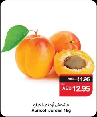 Spar Apricot Jordan offer