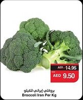 Spar Broccoli Iran offer