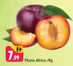 Shaklan Plums Africa offer