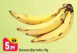 Shaklan Banana Big India offer