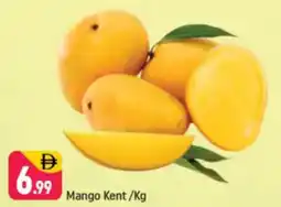 Shaklan Mango Kent offer