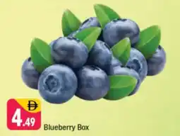 Shaklan Blueberry Box offer