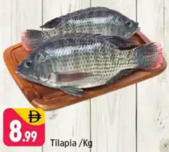 Shaklan Tilapia offer