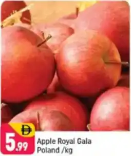 Shaklan Apple Royal Gala Poland offer