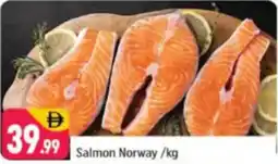 Shaklan Salmon Norway offer