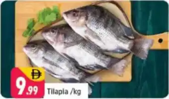 Shaklan Tilapia offer