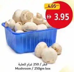 Union Coop Mushroom offer
