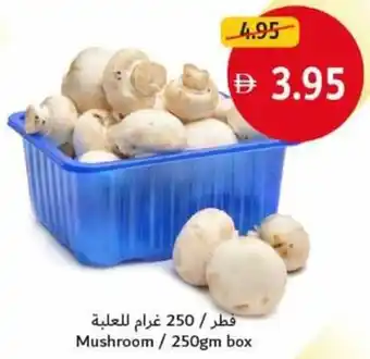 Union Coop Mushroom offer