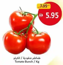Union Coop Tomato Bunch offer