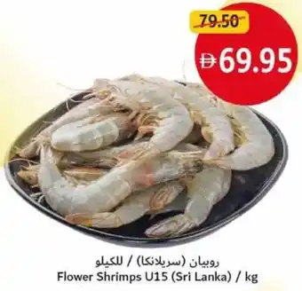 Union Coop Flower Shrimps U15 offer