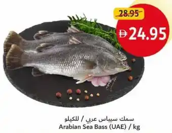 Union Coop Arabian Sea Bass offer