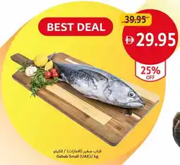 Union Coop Gabab Small offer