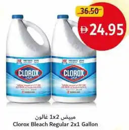 Union Coop Clorox Bleach Regular offer