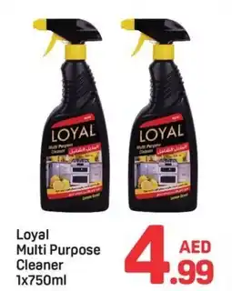 Day To Day Loyal Multi Purpose Cleaner offer