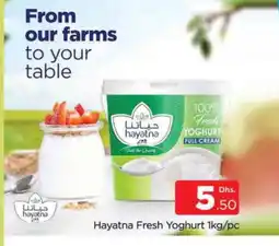Al Madina HAYATNA Yoghurt offer