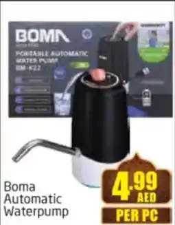 Delta Centre Boma Automatic Waterpump offer