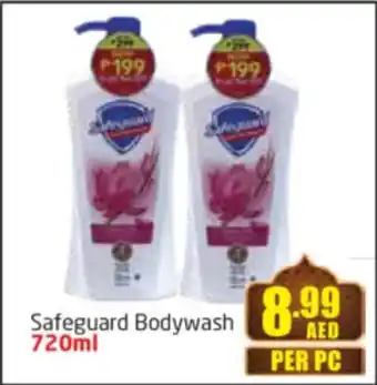 Delta Centre Safeguard Bodywash offer