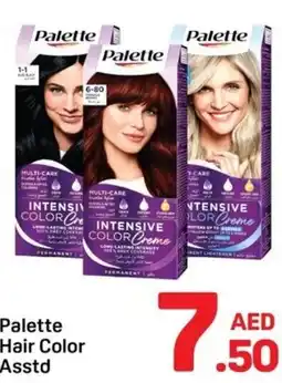 Day To Day Palette hair color asstd offer