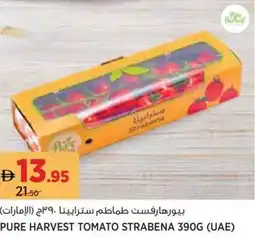 Aswaaq Pure harvest tomato strabena offer