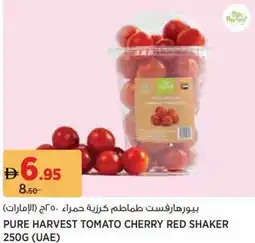 Aswaaq Pure harvest tomato cherry red shaker offer