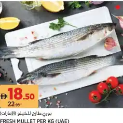 Aswaaq Fresh mullet offer