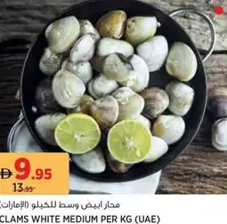 Aswaaq Clams white medium offer