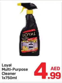 Day To Day Loyal Multi purpose Cleaner offer