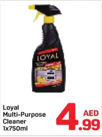 Day To Day Loyal Multi purpose Cleaner offer