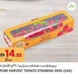 Géant Pure harvest tomato strabena offer
