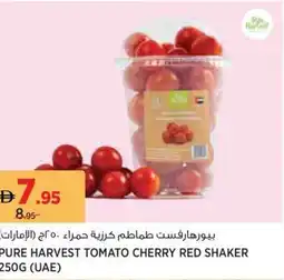 Géant Pure harvest tomato cherry red shaker offer