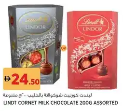 Géant Lindt cornet milk chocolate assorted offer