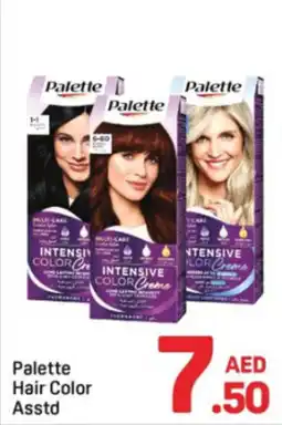 Day To Day Palette Hair Color Asstd offer