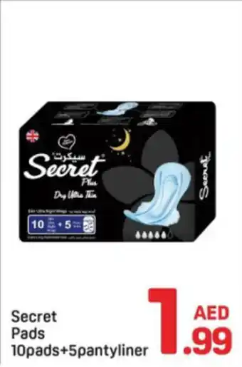 Day To Day Secret Pads offer