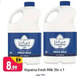 Shaklan HAYATNA Full Cream Milk offer