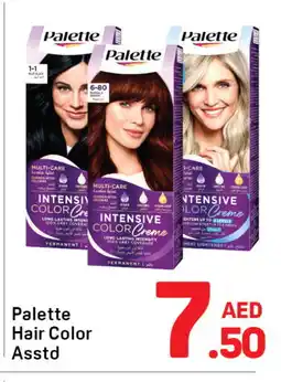 Day To Day PALETTE Hair Colour offer