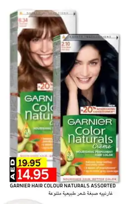 Select Market GARNIER Shampoo / Conditioner offer