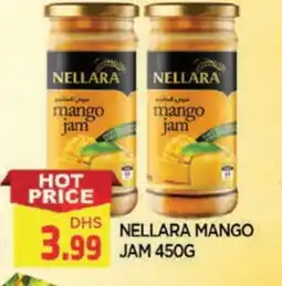 Al Madina NELLARA Jam offer