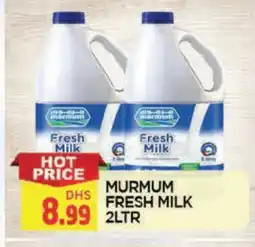 Al Madina MARMUM Fresh Milk offer