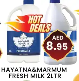 Zain Hypermarket MARMUM Fresh Milk offer