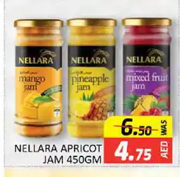 Al Madina NELLARA Jam offer