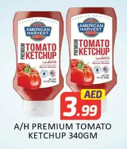 Mango Hypermarket LLC AMERICAN HARVEST Tomato Ketchup offer