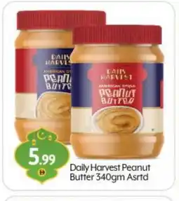 Bigmart AMERICAN HARVEST Peanut Butter offer