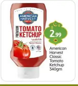 Bigmart AMERICAN HARVEST Tomato Ketchup offer