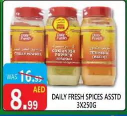United Hypermarket DAILY FRESH Spices / Masala offer